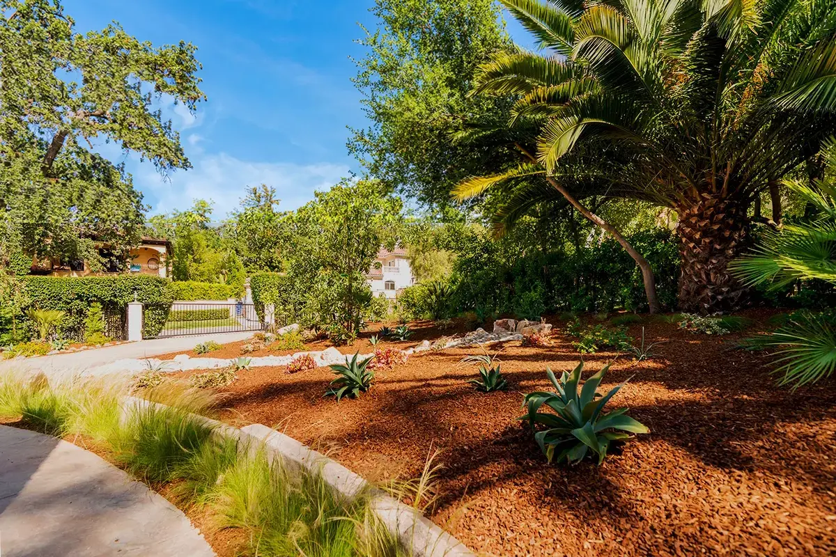 Front yard drought tolerant landscaping with curved masonry edging, bark mulch, and succulents by Lush Gardens Inc in Encino CA