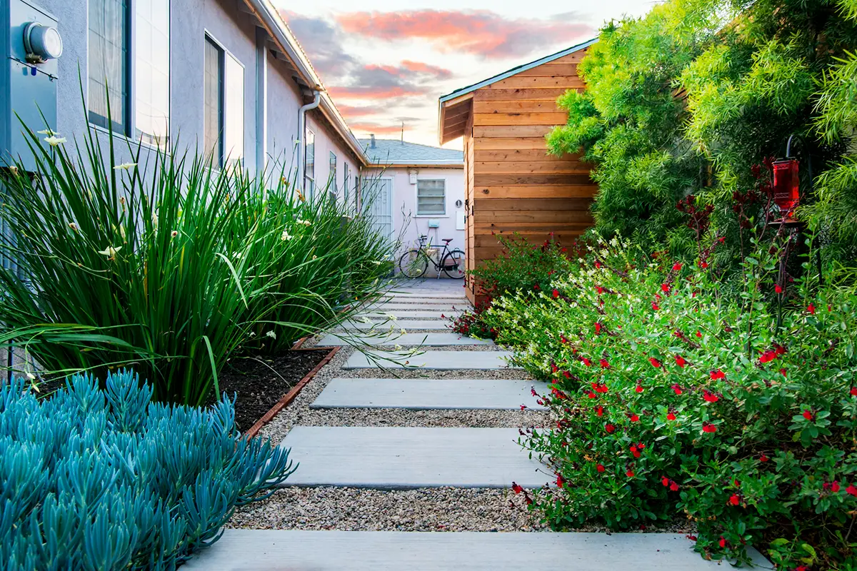 Side yard landscape and softscape design with layered planting, concrete stepping stones, and gravel pathways