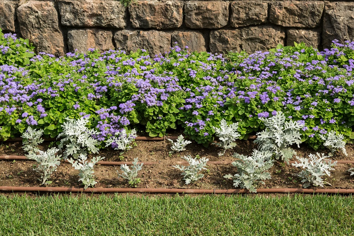 drip-irrigation-flower-bed-encino-lush-gardens-inc