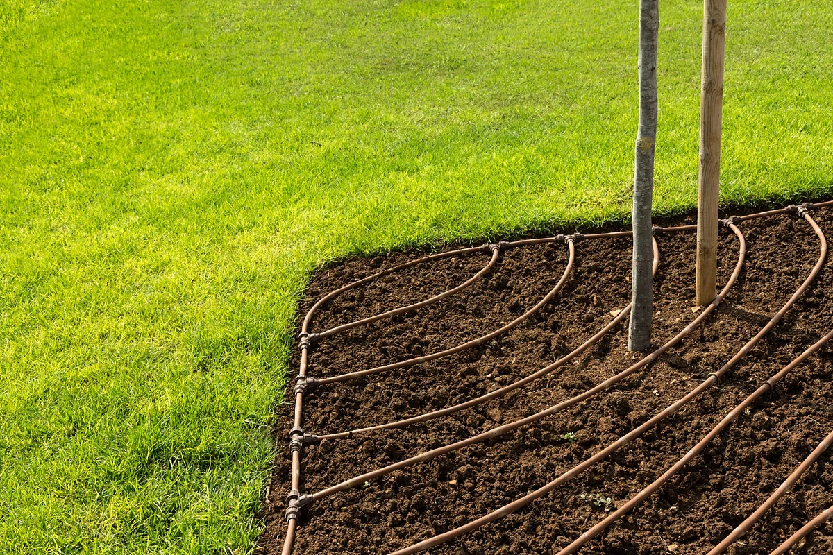 drip-irrigation-lawn-edge-tree-basin-encino-lush-gardens-inc