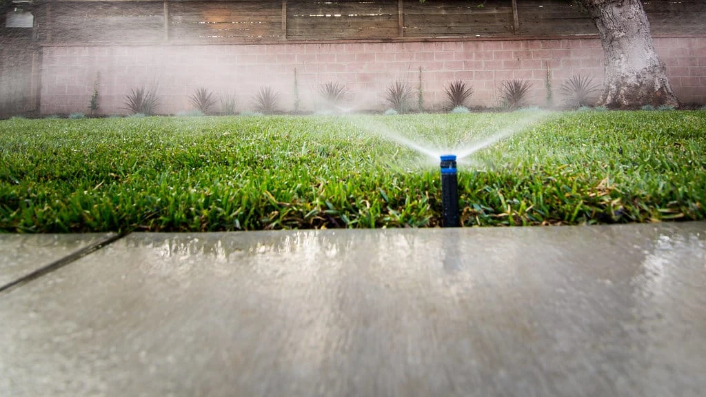 Hunter Pro pop-up spray irrigation head delivering even water coverage over lawn turf