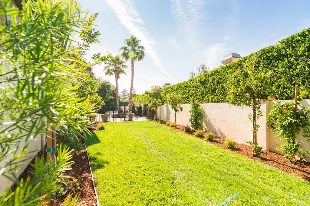 Long sod lawn with hedge privacy and irrigation installed by Lush Gardens Inc in Encino CA
