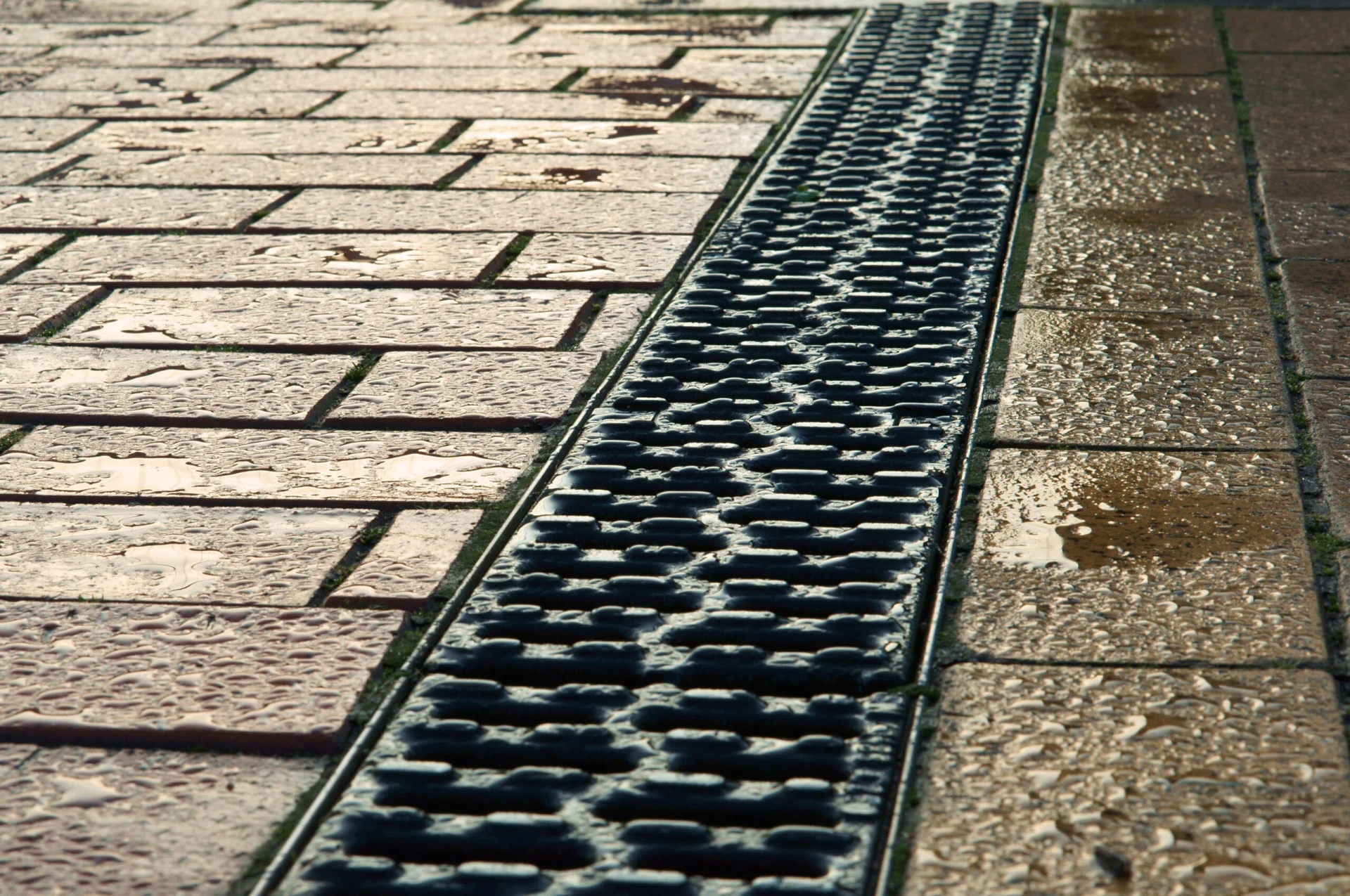 Channel drain installed between pavers to manage surface water and prevent pooling.
